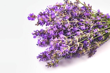 Beyaz arkaplanda bir demet lavanta çiçeği var..
