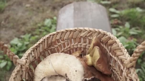 Basket Full Big Mushrooms Wooden Table Outdoor — Stock Video