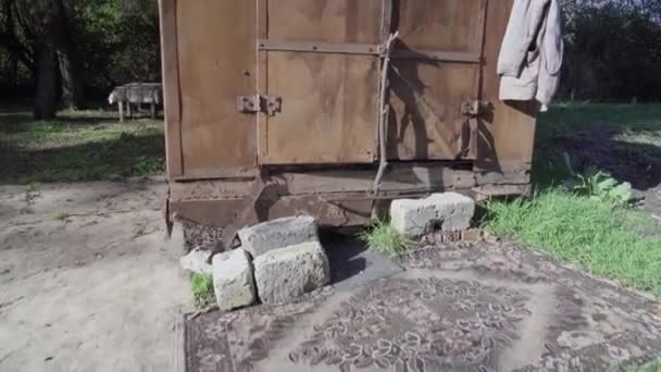 Rusty Old Container Abandoned Forest — Stock Video