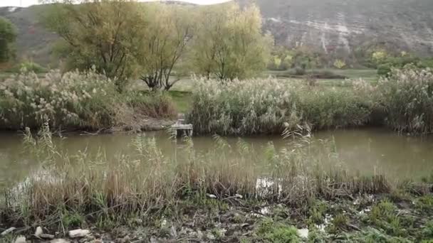 Μολυσμένη Όχθη Του Ποταμού Οικολογική Καταστροφή — Αρχείο Βίντεο