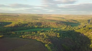 Sonbaharda bir tarlanın ve ormanın üzerinde uçmak. Sarı ağaçlar güneş tarafından aydınlatılıyor. Havadan yukarıdan aşağıya doğru. Sonbaharda karışık orman. Ormanın kenarındaki sarı ağaçlar, tarla sınırındaki.
