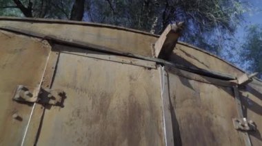 Paslı eski konteynır ormanda terk edilmiş.