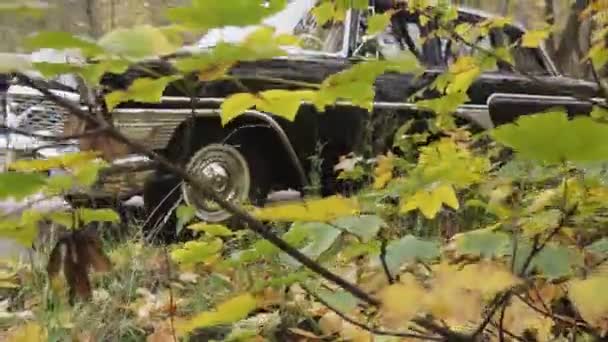 Moldova Republic Kishinev November 2020 Soviet Retro Car Gaz Seagull — Stock Video