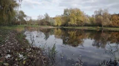 Güz Parkı 'ndaki güzel göl. Rahatlatıcı, meditasyon yapan doğa anı. Sabit çekim.