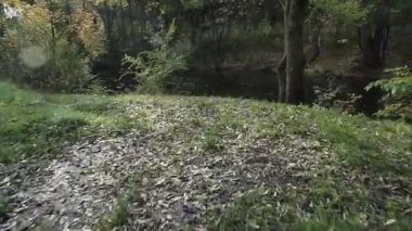 Sonbaharda ormanda gölet. Ağaçlar gölde yansır.