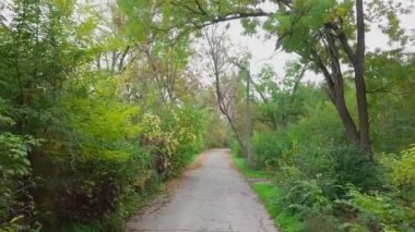 Ormanda bir patika boyunca İHA uçuşu. Sonbahar renkli ağaçların arasında yalnız bir koşucuyu takip ediyorum.