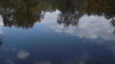 Güz Parkı 'ndaki güzel göl. Rahatlatıcı, meditasyon yapan doğa anı. Sabit çekim.