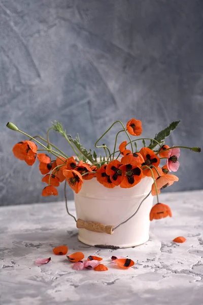 Petit Bouquet Coquelicots Rouges Vase Blanc Nature Morte Avec Des — Photo