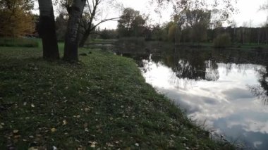 Güz Parkı 'ndaki güzel göl. Rahatlatıcı, meditasyon yapan doğa anı. Sabit çekim.