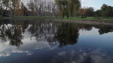 Güz Parkı 'ndaki güzel göl. Rahatlatıcı, meditasyon yapan doğa anı. Sabit çekim.
