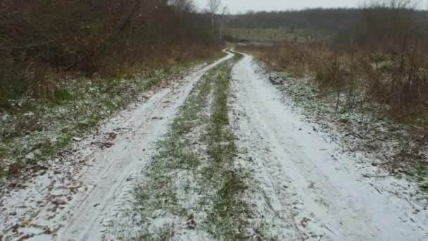 Steadicam Marche Travers Route Forestière Profonde Automne Première Neige Vidéo — Video