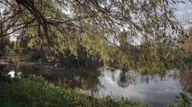 Güz Parkı 'ndaki güzel göl. Rahatlatıcı, meditasyon yapan doğa anı. Sabit çekim.
