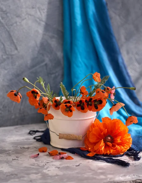 Little Red Poppies Bouquet White Vase Still Life Wild Poppies — Stock Photo, Image