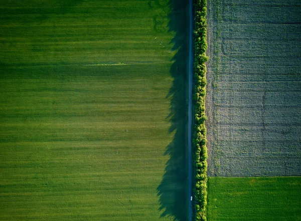 Vue Aérienne Sur Les Champs Agricoles — Photo