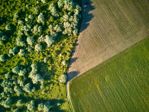 Luftaufnahme Über Die Landwirtschaftlichen Felder Ansicht Von Oben — Stockfoto
