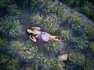 Genç, zayıf, açık tenli esmer kız lavanta tarlasında yatıyor. Üst görünüm.