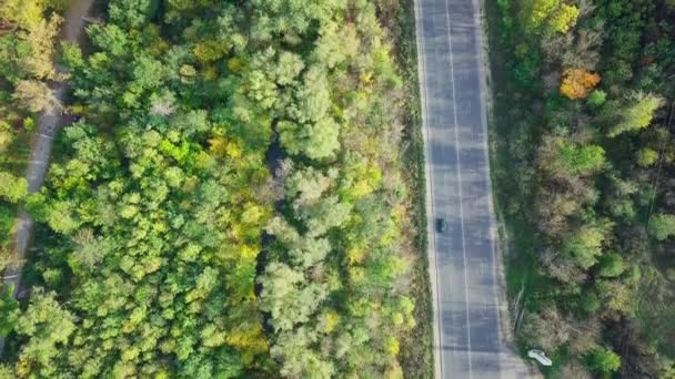 Zburând Lungul Unui Drum Înconjurat Pădurea Toamnă Laterale — Videoclip de stoc