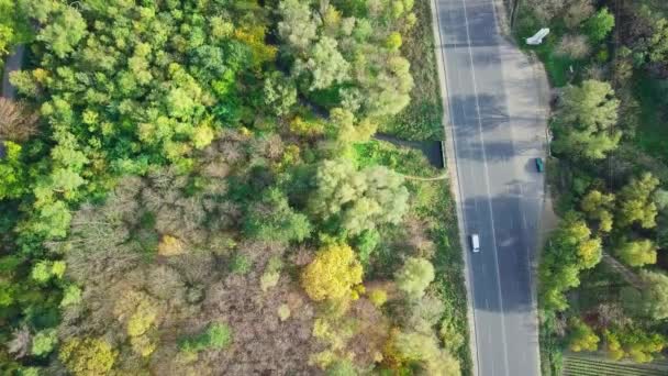 Terbang Sepanjang Jalan Dikelilingi Oleh Hutan Musim Gugur Sisi — Stok Video