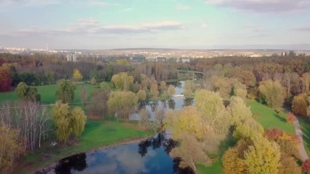 Vista Aérea Com Drone Sobre Uma Cidade Casa Localizada Meio — Vídeo de Stock