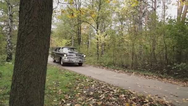 Республіка Молдова Кишинів Листопада 2020 Радянський Ретро Автомобіль Газ Чайка — стокове відео