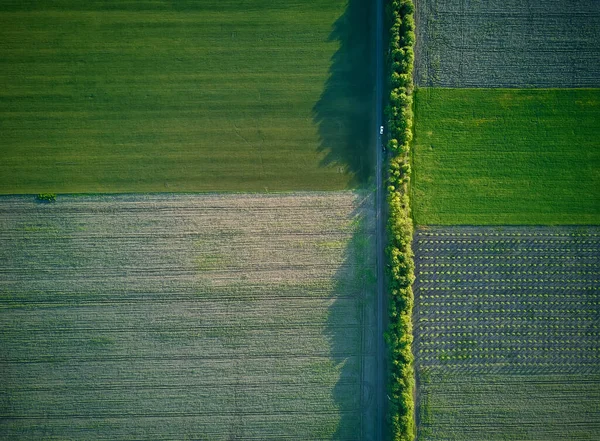 Vista Aérea Sobre Los Campos Agrícolas — Foto de Stock