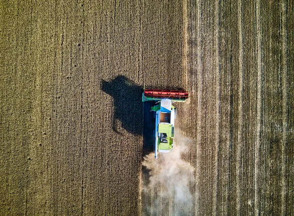 Повітряний Вид Жниварів Збирає Пшеницю Заході Сонця Збирання Зерна Врожай — стокове фото