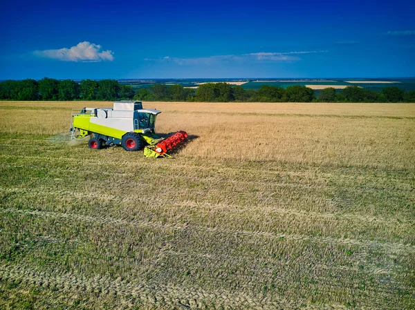 組み合わせ収穫機の空中ビューは日没時に小麦を収集します 収穫穀物畑 作物の季節 部分的に収穫された畑の収穫者についての眺め モルドバ ヨーロッパ — ストック写真