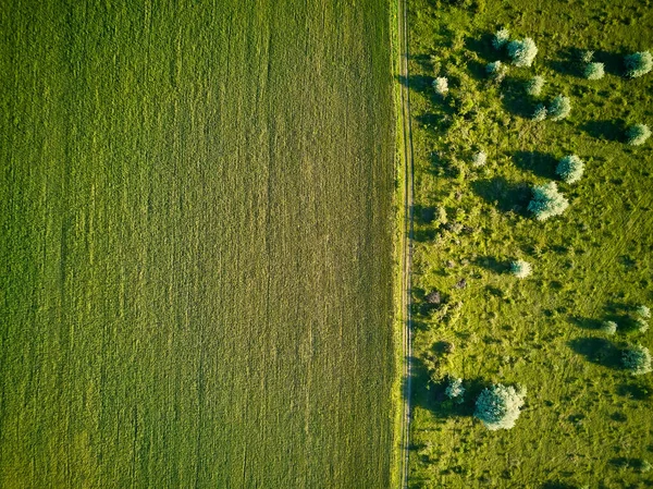 Vista Aérea Sobre Los Campos Agrícolas — Foto de Stock