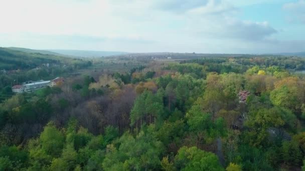 Повітряний Вид Дроном Над Містом Будинок Розташований Середині Парку Прекрасно — стокове відео