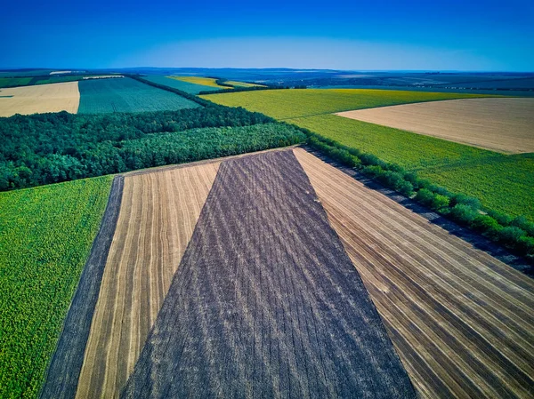 Vista Aérea Sobre Los Campos Agrícolas — Foto de Stock