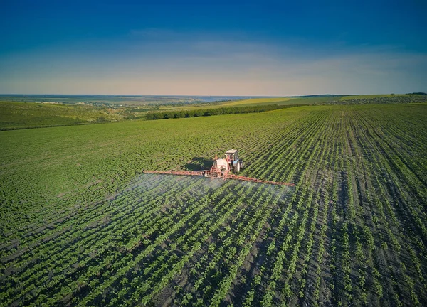 Jeunes Plants Tournesol Champ Agriculture Printemps Tracteur Avec Équipement Vue — Photo