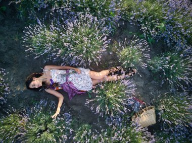 Genç, zayıf, açık tenli esmer kız lavanta tarlasında yatıyor. Üst görünüm.