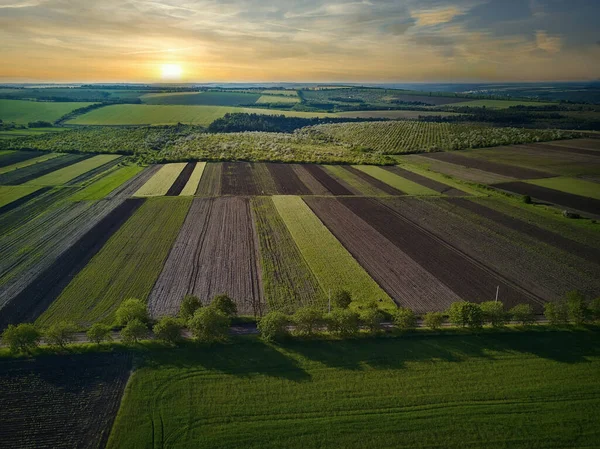 Vista Aérea Sobre Los Campos Agrícolas Vista Superior —  Fotos de Stock