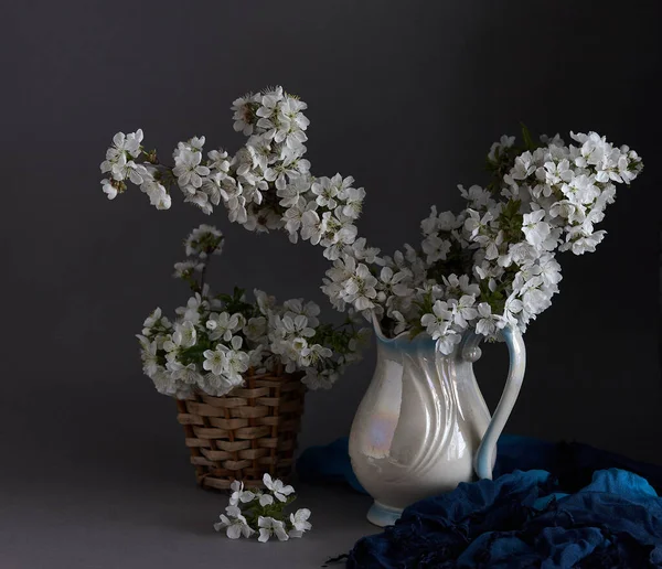 Třešňové Květy Bílé Váze Šedém Pozadí Jarní Zátiší — Stock fotografie