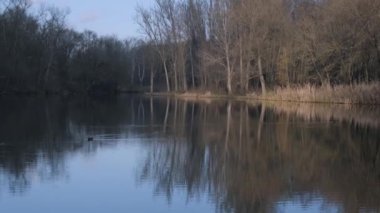Parkta küçük bir göl. Baharın başlarında.