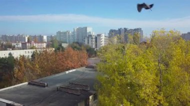 Kishinev 'deki İHA uçuşu. Moldova Cumhuriyeti 'nin Kishinev binalarının üzerinde insansız hava aracı uçuyor.