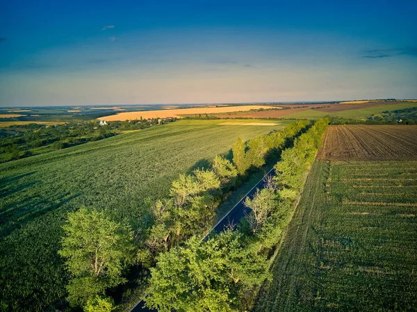 Vista Aérea Sobre Los Campos Agrícolas Atardecer — Foto de Stock