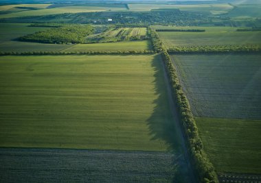 Tarımsal alanların üzerinde hava manzarası