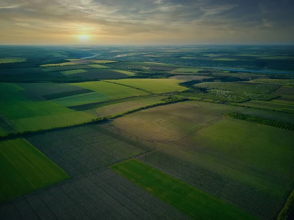 Vista Aérea Sobre Los Campos Agrícolas Atardecer — Foto de Stock