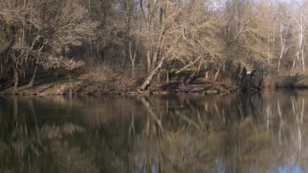 Μια Μικρή Λίμνη Στο Πάρκο Αρχές Της Άνοιξης — Αρχείο Βίντεο