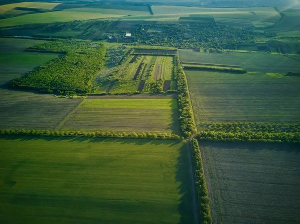 Vista Aérea Sobre Los Campos Agrícolas — Foto de Stock