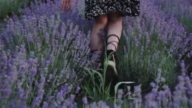 Lavanta tarlasında yürüyen hippi kız, özgürlük kavramı