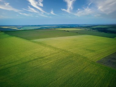 Gün batımında tarla tarlaları üzerinde hava manzarası
