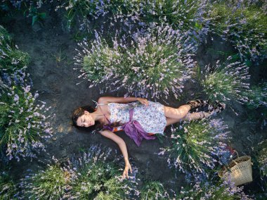 Genç, zayıf, açık tenli esmer kız lavanta tarlasında yatıyor. Üst görünüm.