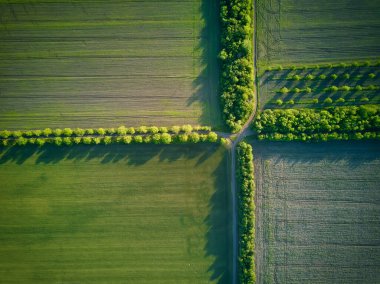 Tarımsal alanların üzerinde hava manzarası