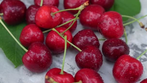 Cerises Rouges Mûres Fruits Sur Fond Vintage Gris — Video