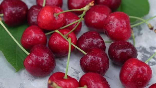 Cerezas Rojas Maduras Sobre Fondo Gris Vintage — Vídeo de stock