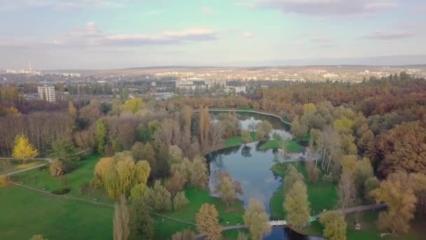 Flygfoto Med Drönare Över Stad Hus Beläget Mitten Parken Vackert — Stockvideo