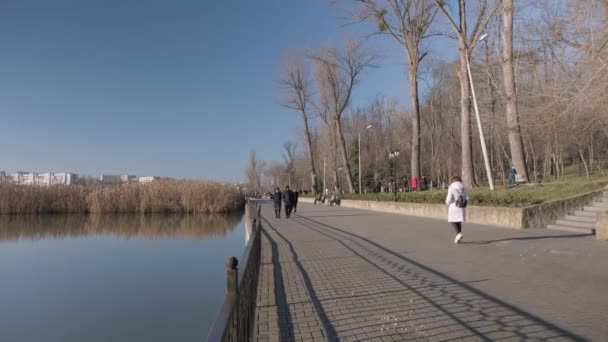 Декабря 2021 Года Кишинев Республика Молдова Днем Люди Прогуливаются Парку — стоковое видео