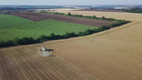 Moderna Cosechadora Que Trabaja Cultivo Trigo Vista Aérea Cosechadoras Combinadas — Vídeos de Stock